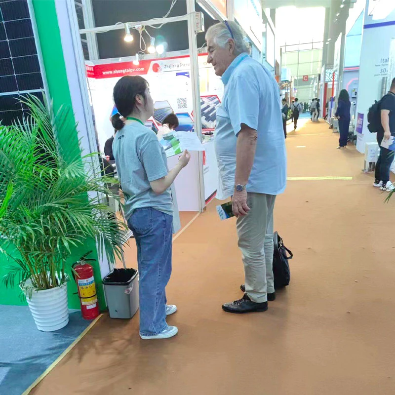 Jingsun staff introduce solar panel products to customers Jingsun staff introduce solar panel products to customers