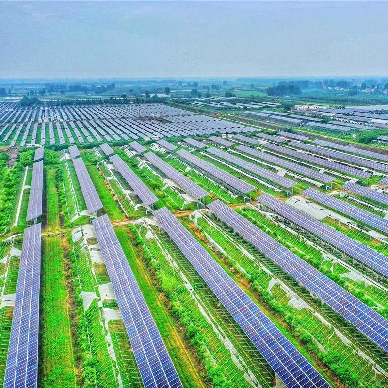 Hybrid photovoltaic system for agriculture Hybrid photovoltaic system for agriculture