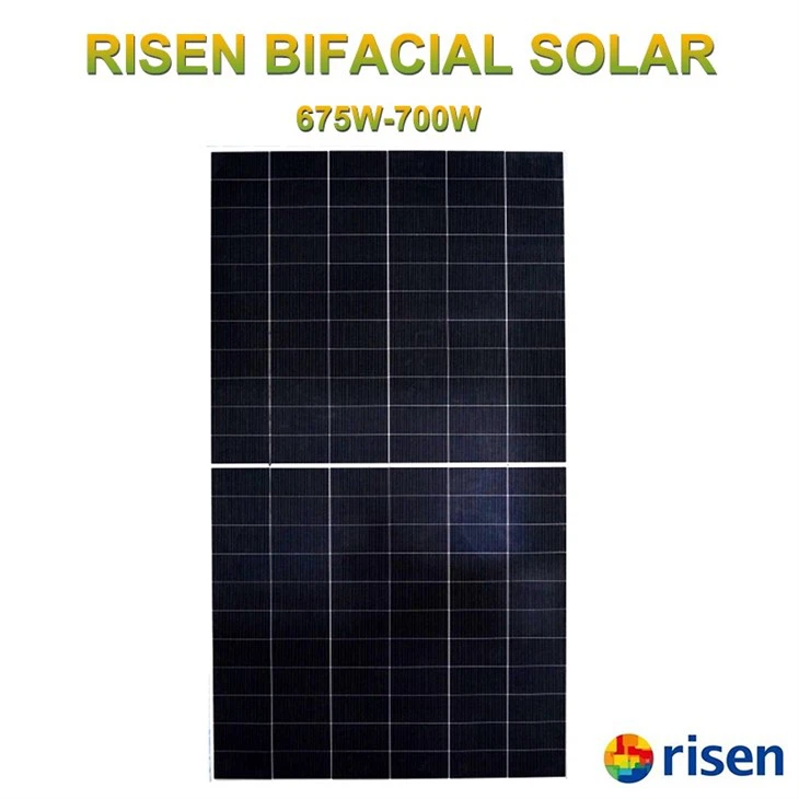 Risen 700 Watt Solar Panel