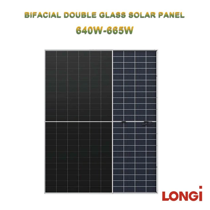 Longi 665W